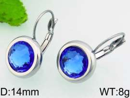 Stainless Steel Stone&Crystal Earring