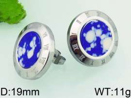Stainless Steel Earring