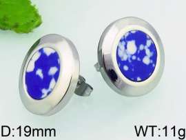 Stainless Steel Earring