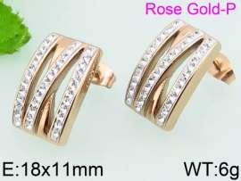 Stainless Steel Stone&Crystal Earring