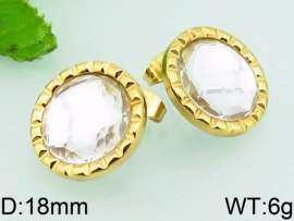 Stainless Steel Stone&Crystal Earring