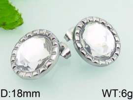 Stainless Steel Stone&Crystal Earring