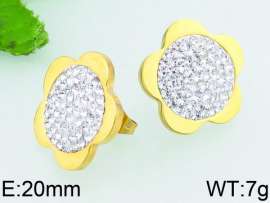 Stainless Steel Stone&Crystal Earring