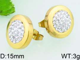 Stainless Steel Stone&Crystal Earring