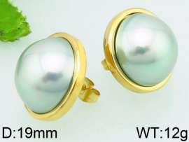 SS Gold-Plating Earring