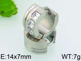 Stainless Steel Stone&Crystal Earring