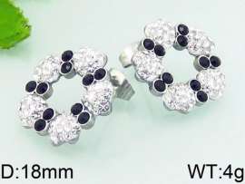 Stainless Steel Stone&Crystal Earring