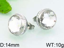 Stainless Steel Stone&Crystal Earring