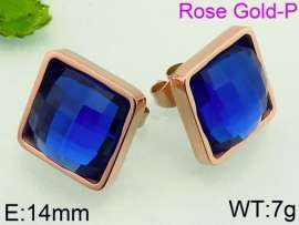 Stainless Steel Stone&Crystal Earring