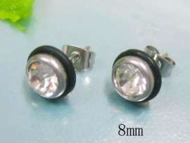 Stainless Steel Earring