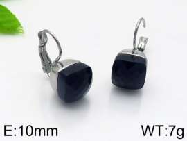 Stainless Steel Stone&Crystal Earring