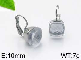 Stainless Steel Stone&Crystal Earring
