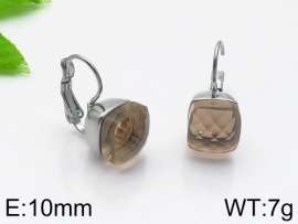 Stainless Steel Stone&Crystal Earring