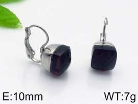 Stainless Steel Stone&Crystal Earring