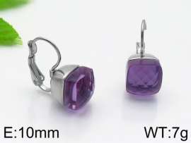Stainless Steel Stone&Crystal Earring