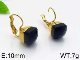 Stainless Steel Stone&Crystal Earring