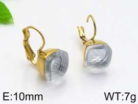 Stainless Steel Stone&Crystal Earring