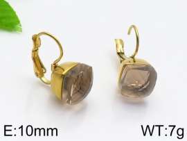 Stainless Steel Stone&Crystal Earring