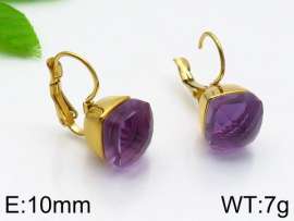 Stainless Steel Stone&Crystal Earring