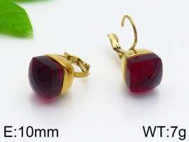 Stainless Steel Stone&Crystal Earring