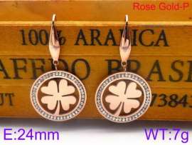 Stainless Steel Stone&Crystal Earring