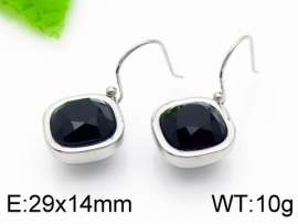 Stainless Steel Stone&Crystal Earring