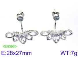 Stainless Steel Stone&Crystal Earring