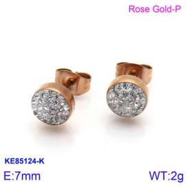 Stainless Steel Stone&Crystal Earring