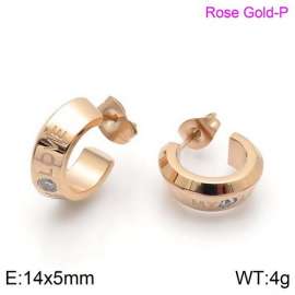 Stainless Steel Stone&Crystal Earring